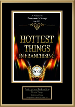 hottest things in franchising 2021