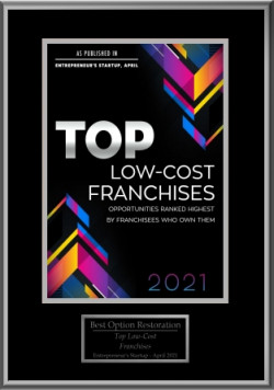 low cost franchise 2021