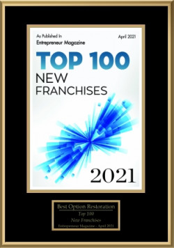 top100_new_franchises_2021