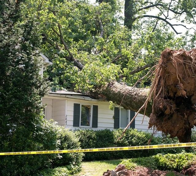 Storm Damage